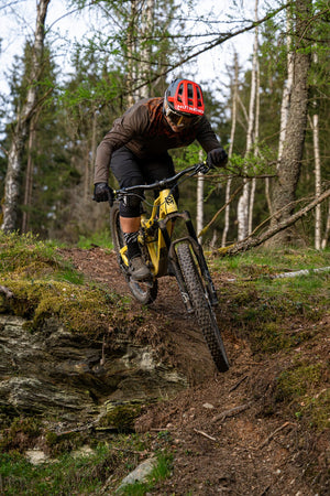 Silvini men's shorts MP1805 Fabriano